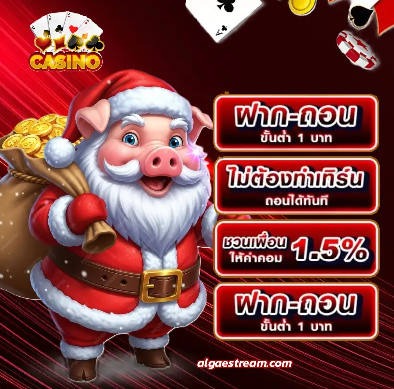เวลา สล็อต แตก pg วัน นี้